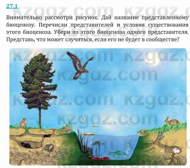 Естествознание Верховцева Л. 5 класс 2019 Вопрос стр.27.1