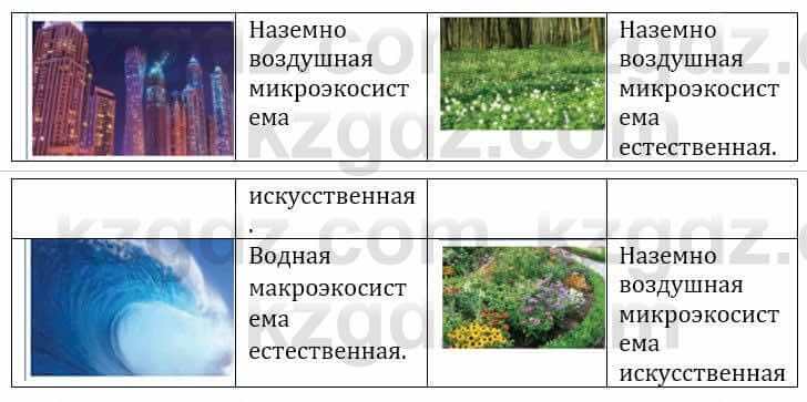 Естествознание Верховцева Л. 5 класс 2019 Вопрос стр.118.2