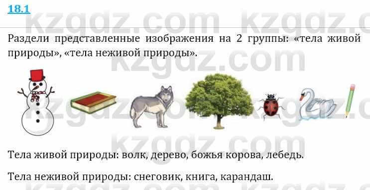 Естествознание Верховцева Л. 5 класс 2019 Вопрос стр.18.1