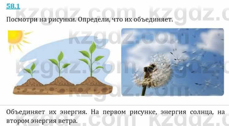 Естествознание Верховцева Л. 5 класс 2019 Вопрос стр.58.1