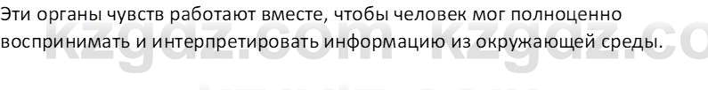 Информатика Кобдикова Ж. У. 5 класс 2020 Вопрос 2